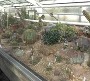 Gewächshäuser Botanischer Garten