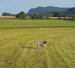 Wandern Neumarkt in der Steiermark