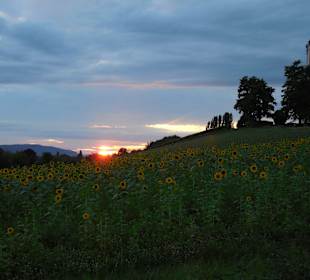 Stadtrundgang Uhldingen-Mühlhofen