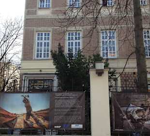 Centrum Prasowe Foksal w Domu Dziennikarza
