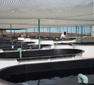 Verschiedene Wasserbecken