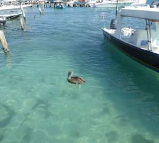 Isla Mujeres