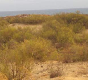 Wandern Praia da Manta Rota