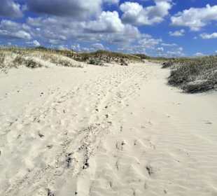 Strand St. Peter Ording in St. Peter-Ording