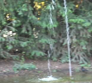 Unterer Schlossgarten Stuttgart