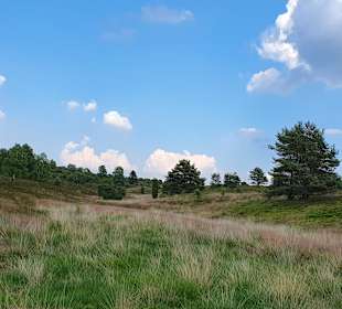 Wandern Bispingen