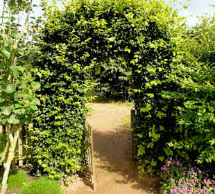 Spaziergang durch den Dorfgarten Dötlingen