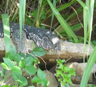 Flusstour Begegnungen