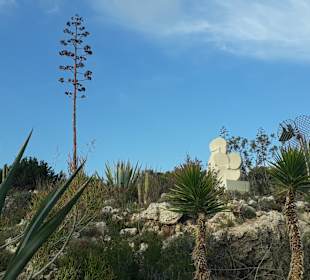 Kakteengarten am Skulpturenpark