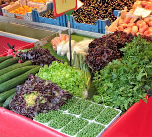 Rundgang über den Wochenmarkt am Marktplatz