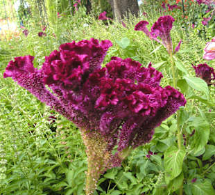 Alhambra - im Oktober 2012