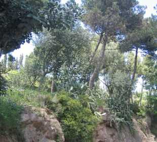 Park Güell