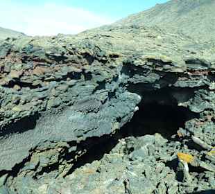 Abwechslungsreiche Landschaft