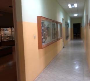 Naturhistorisches Museum