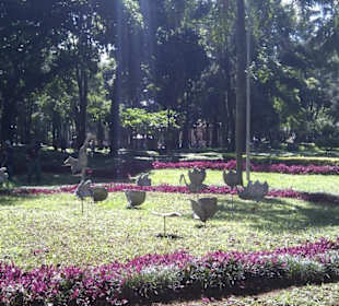 Im Park