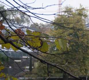 Parkanlage Planten un Blomen
