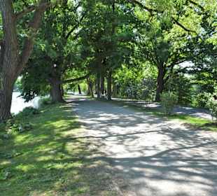 Promenade am Westufer des Maschsees