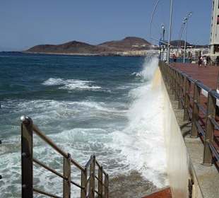 Las Palmas Gran Canaria 2014  