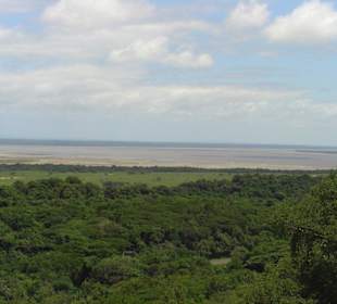 Ausblick im St. Lucia Wetlandpark