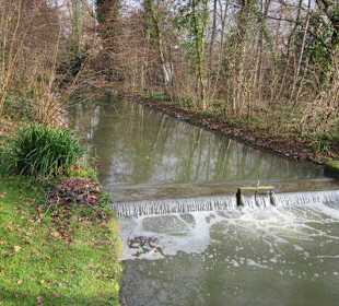 Schlosspark Schwetzingen im Winter