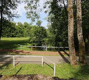 Blick in den Schlosspark