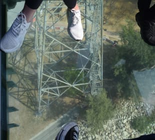 Seilbahn Ngong Ping Glasboden