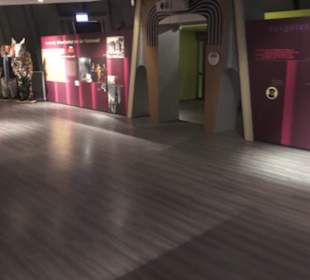 Fastnachtsmuseum Narrenschopf