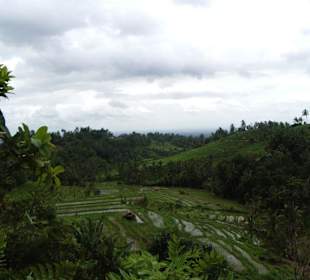 Impressionen aus Bali