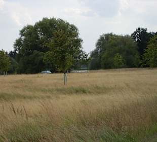 Wanderweg zum Kollauer Wehr