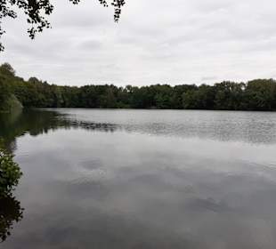 Rensinger See in Kellinghusen