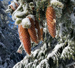 Wandern Oberwiesenthal