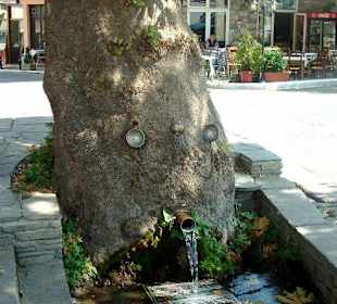 Platane auf der Platia