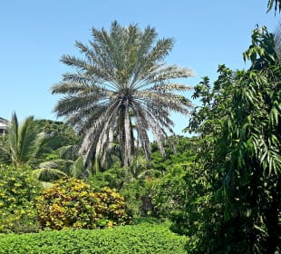 People’s Palace Museum