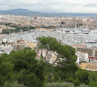 Stadt Palma und Hafen