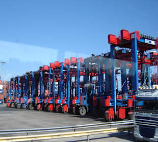 Hamburg - Auge in Auge mit Giganten