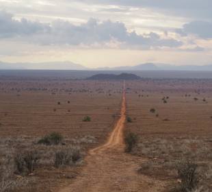 Game Drive