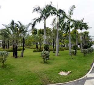 Gepflegte Parkanlage