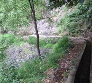 An der Levada do Costelejo