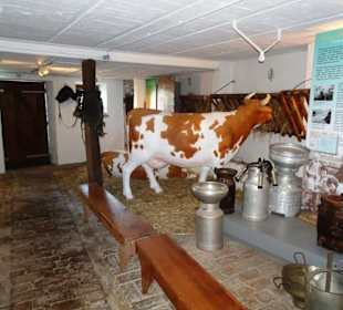 Im Kuhstall des Landmuseums