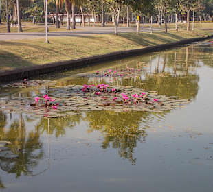 Sukhothai Historical Park