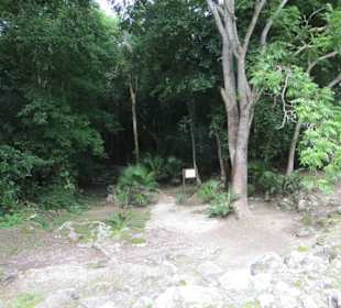 Ausflug mit Daniel zu den Maya Ruinen in Muyil