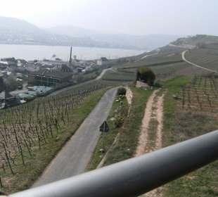 Schweben über Reben