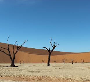 Dead Vlei