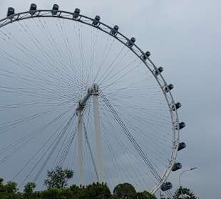 Singapore Flyer