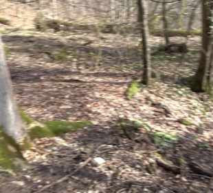 Wasserfallsteig