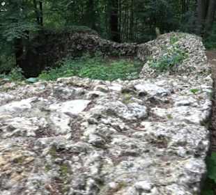 Burg Alt-Lichtenstein