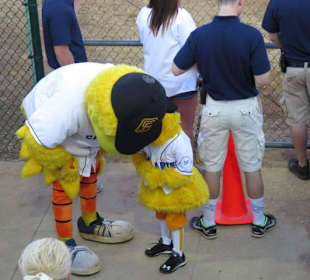 Maskottchen der Canaries