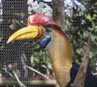 Einer der Vögel des Parkes