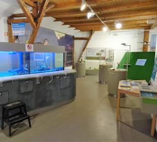In den Ausstellungsräumen des Nationalpark-Hauses