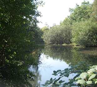 Naturschutzgebiet Taubergießen